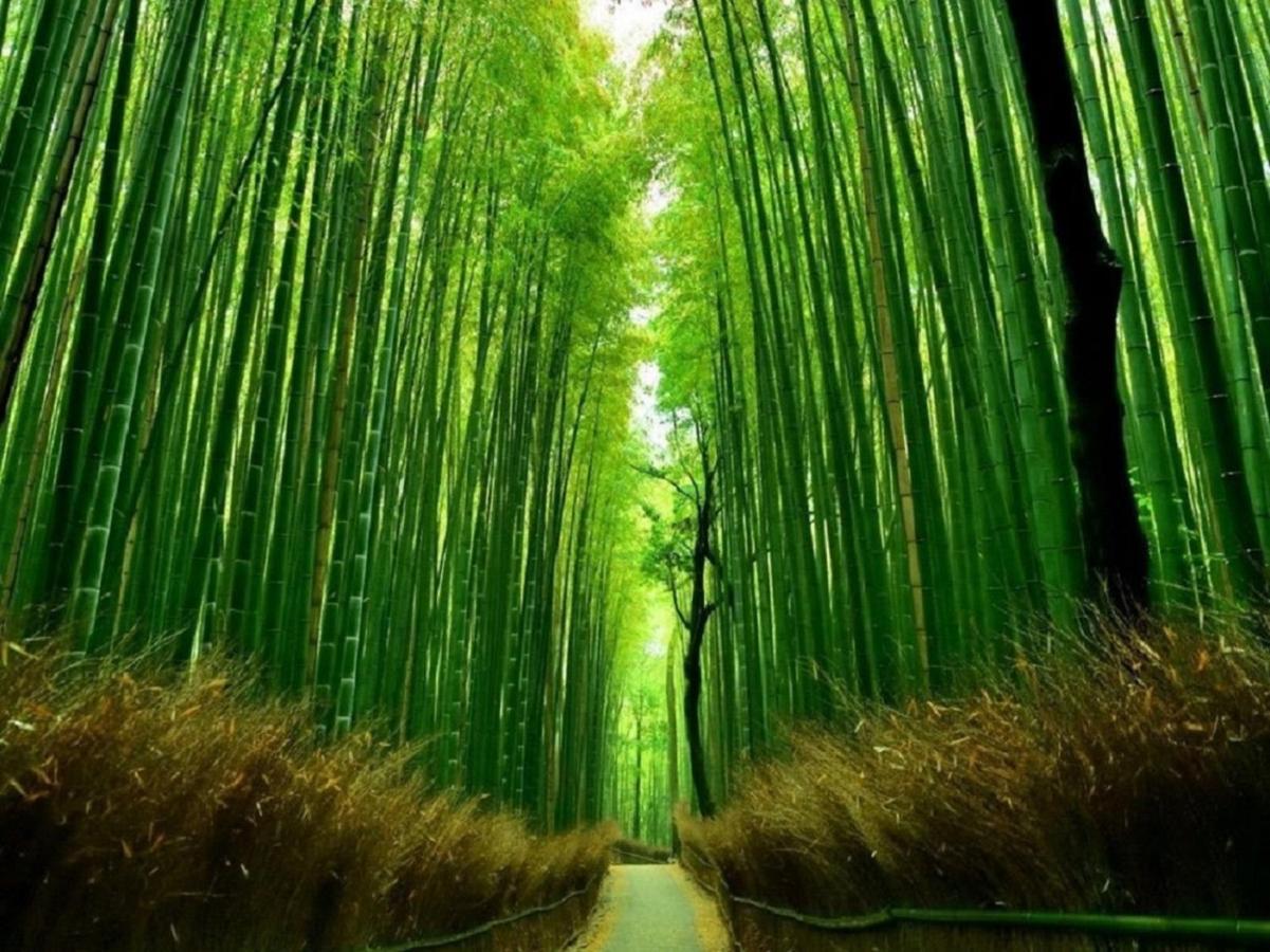 町屋 月 Machiya Tsuki Villa Kyoto Exteriör bild